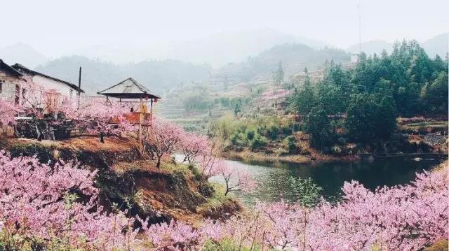 中國(guó)的桃花源和西方的烏托邦，是全人類的精神遺產(chǎn)